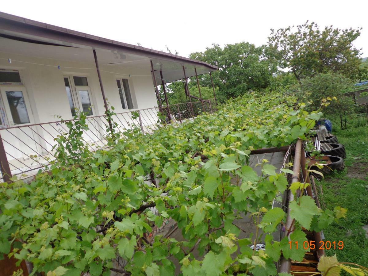 My Home Udabno Екстериор снимка